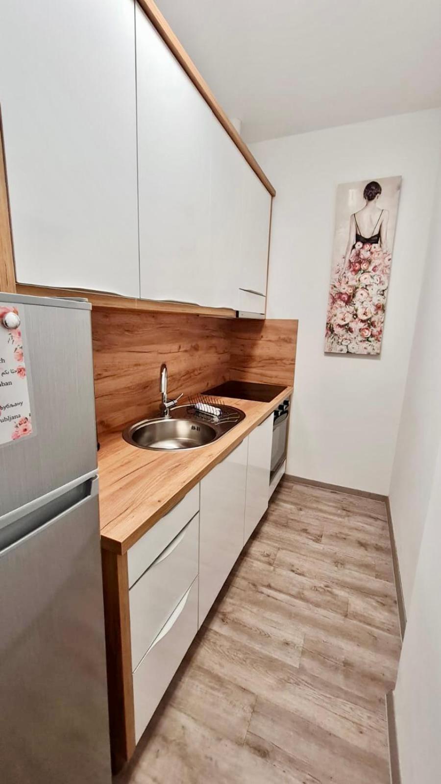 Ljubljana Central Lux Apartment With Free Parking 外观 照片